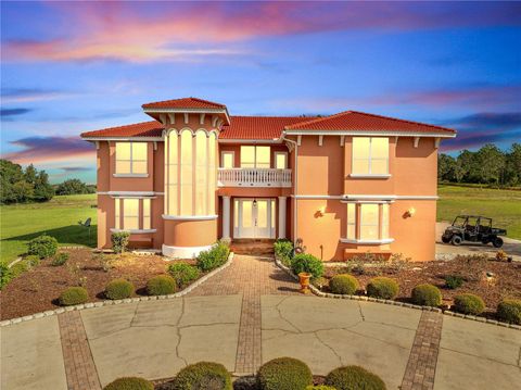 Tiny photo for 18147 Coralwood Lane, Groveland, FL 34736 (MLS # S5135604)