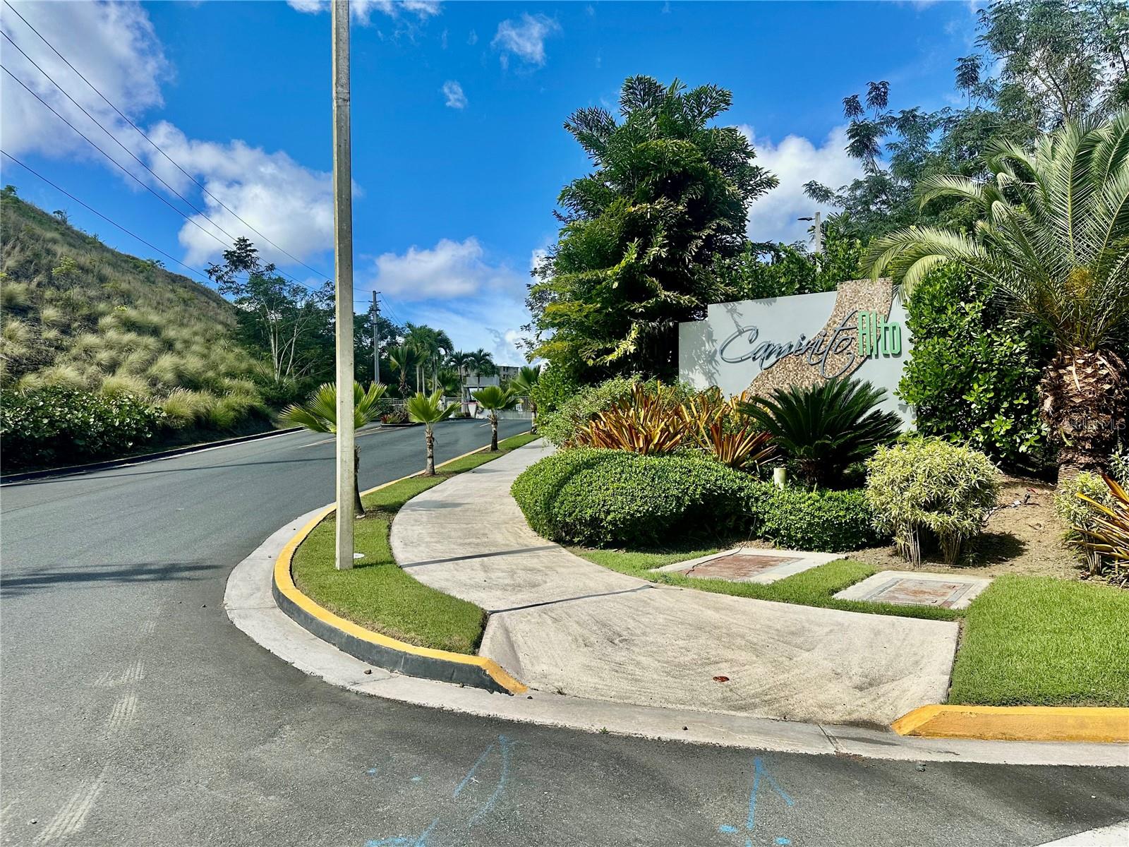 911 Caminito Alto I Rd189 911 CAMINITO ALTO I RD 189 911