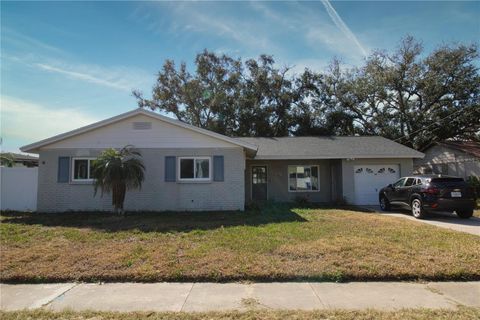 Photo of 8317 Boxwood Drive, Tampa, FL 33615 (MLS # TB8468805)