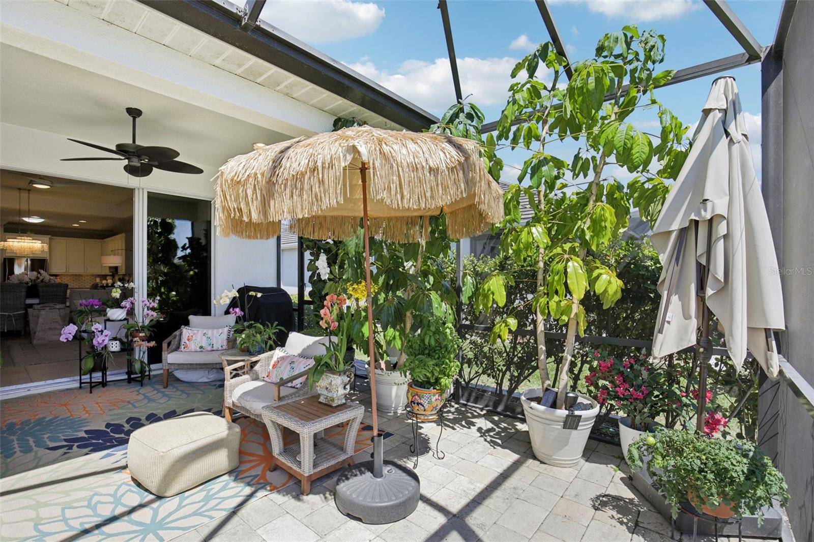 UNIVERSITY VILLAGE - Residential