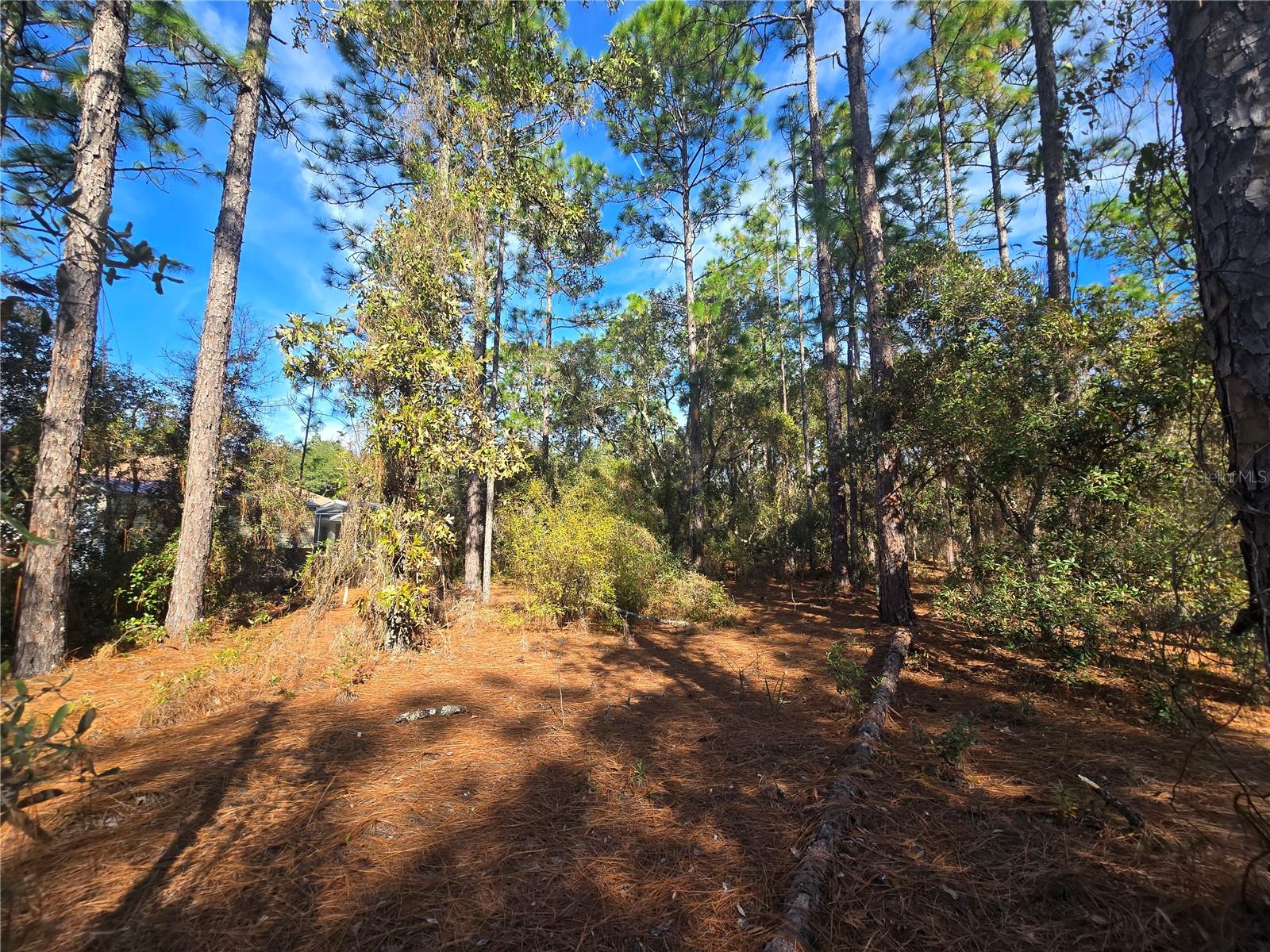 CITRUS SPRINGS UNIT 22 - Land