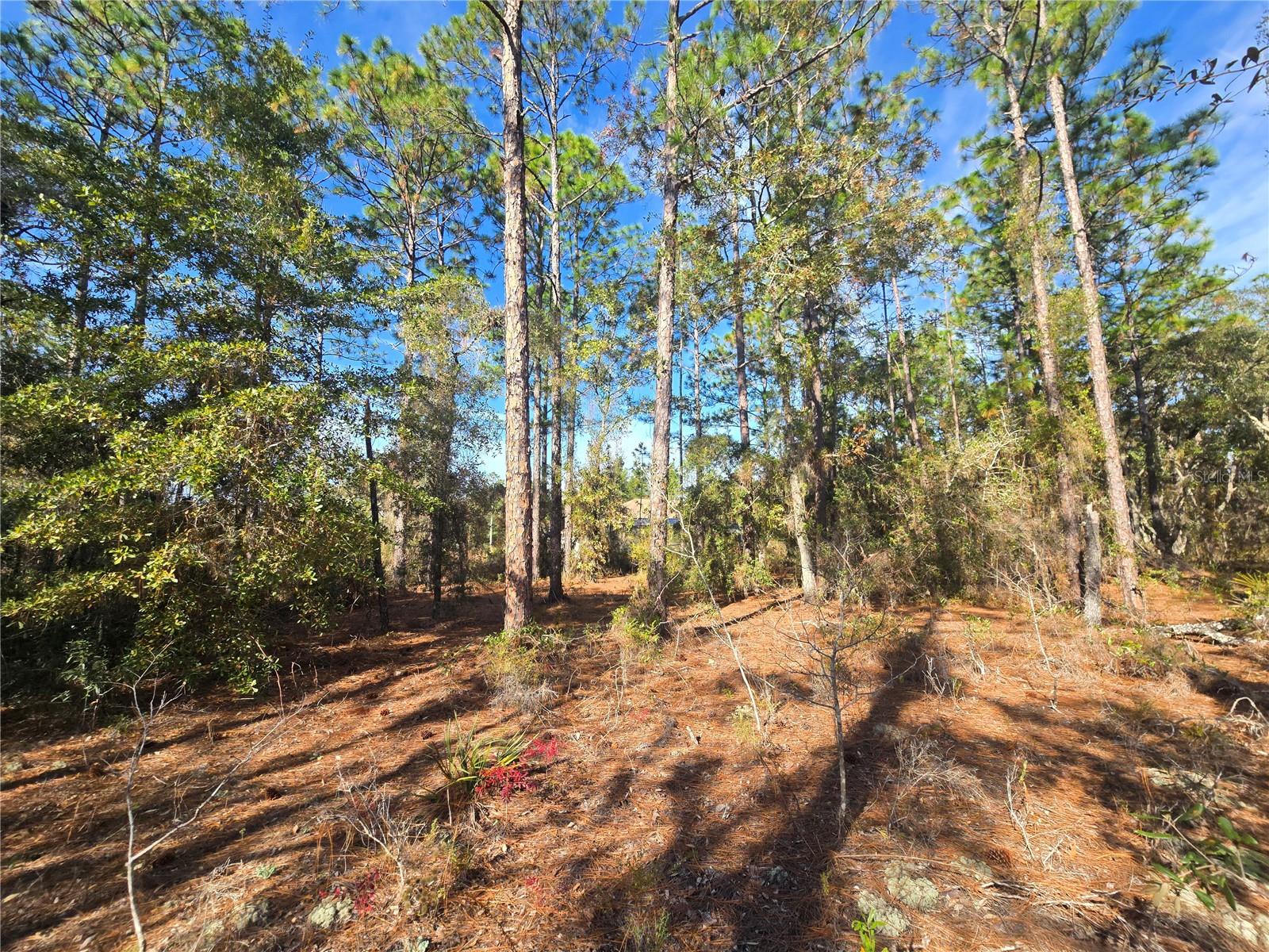 CITRUS SPRINGS UNIT 22 - Land