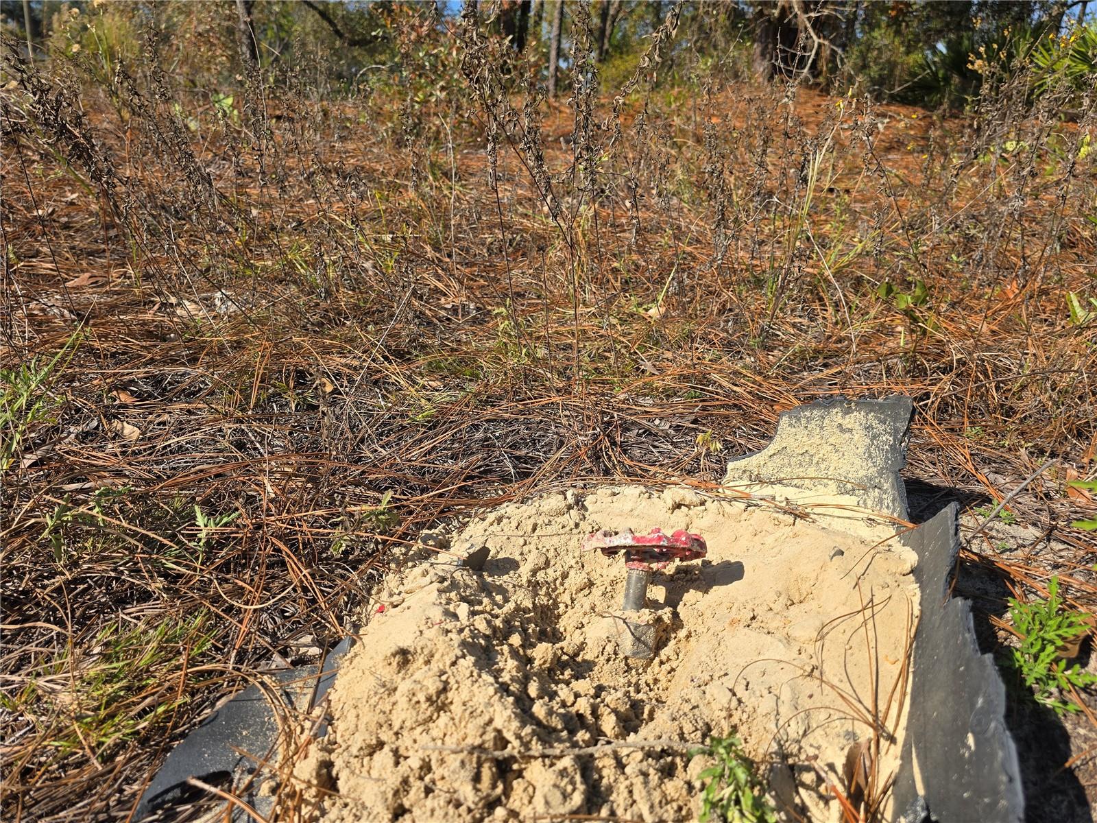 CITRUS SPRINGS UNIT 22 - Land