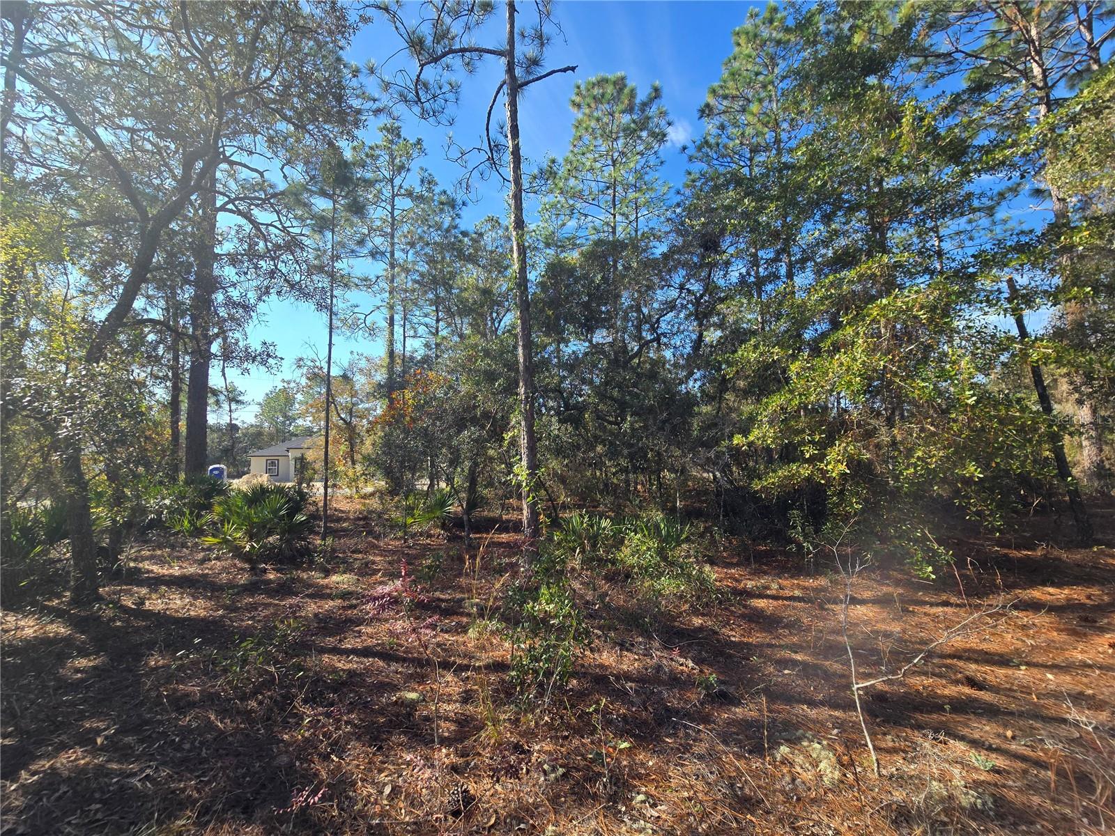 CITRUS SPRINGS UNIT 22 - Land