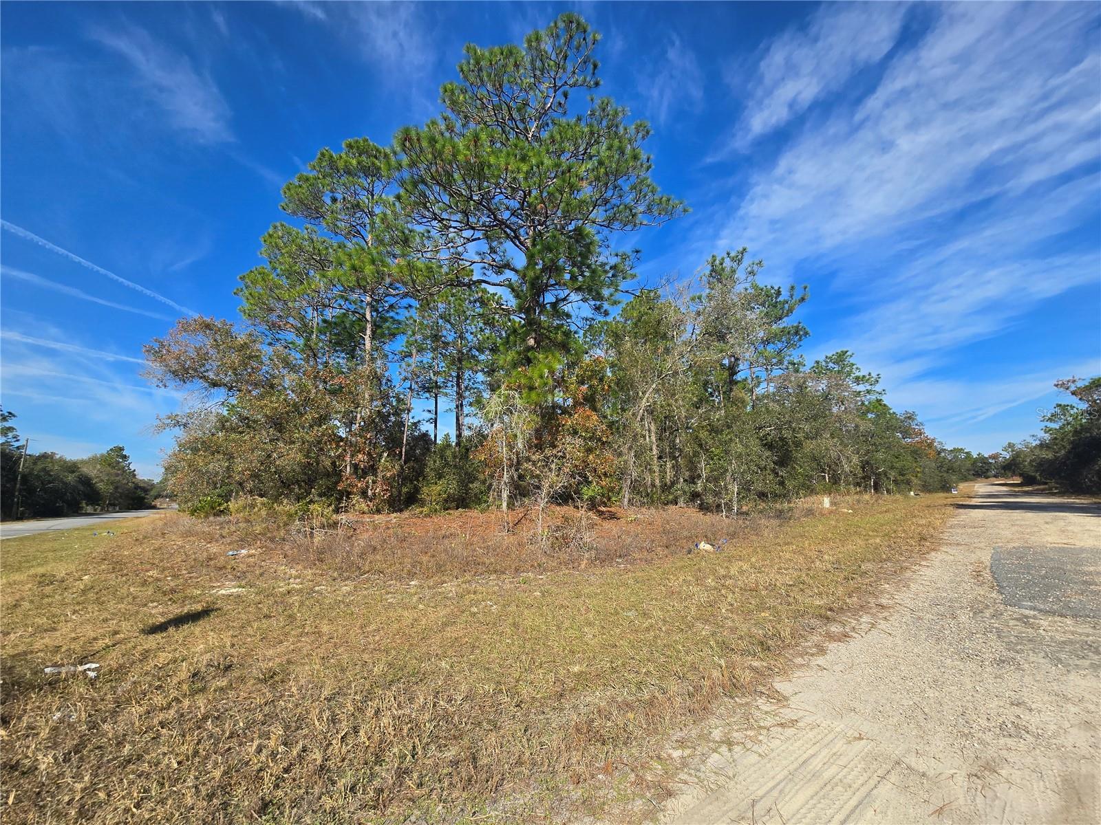 CITRUS SPRINGS UNIT 22 - Land