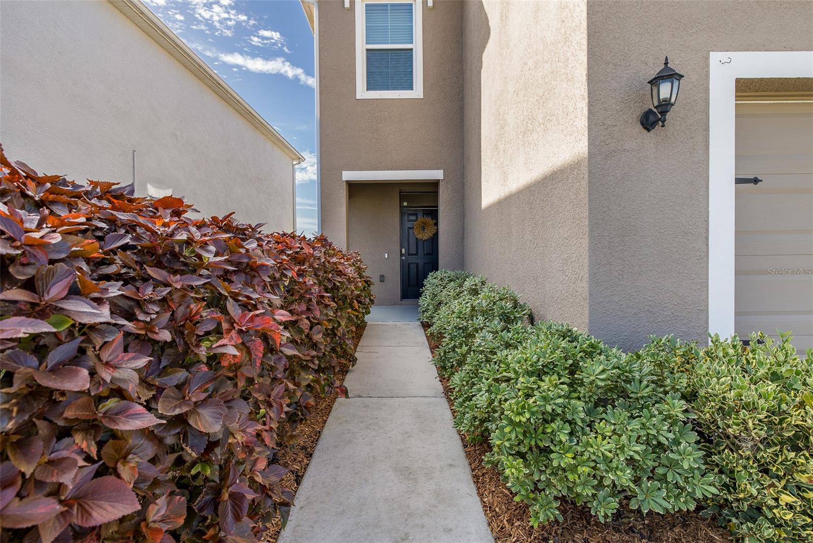 SOUTH BRANCH PRESERVE 1 - Residential