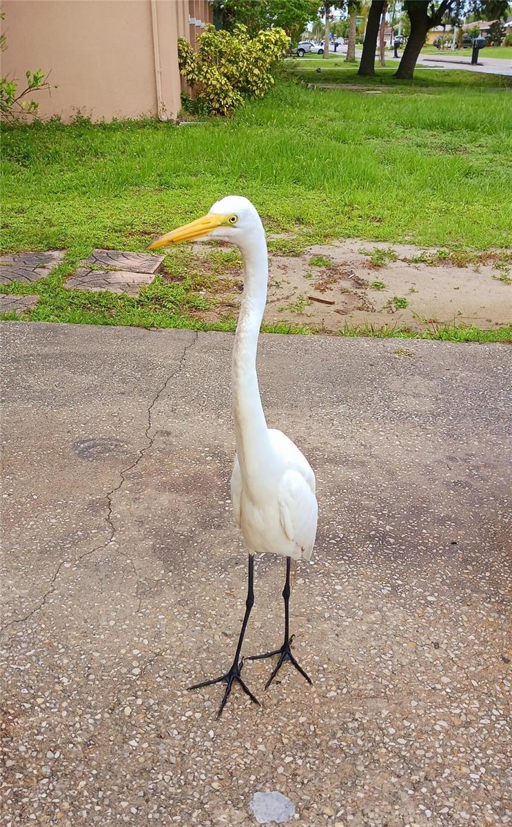 PORT CHARLOTTE SEC 020 - Residential