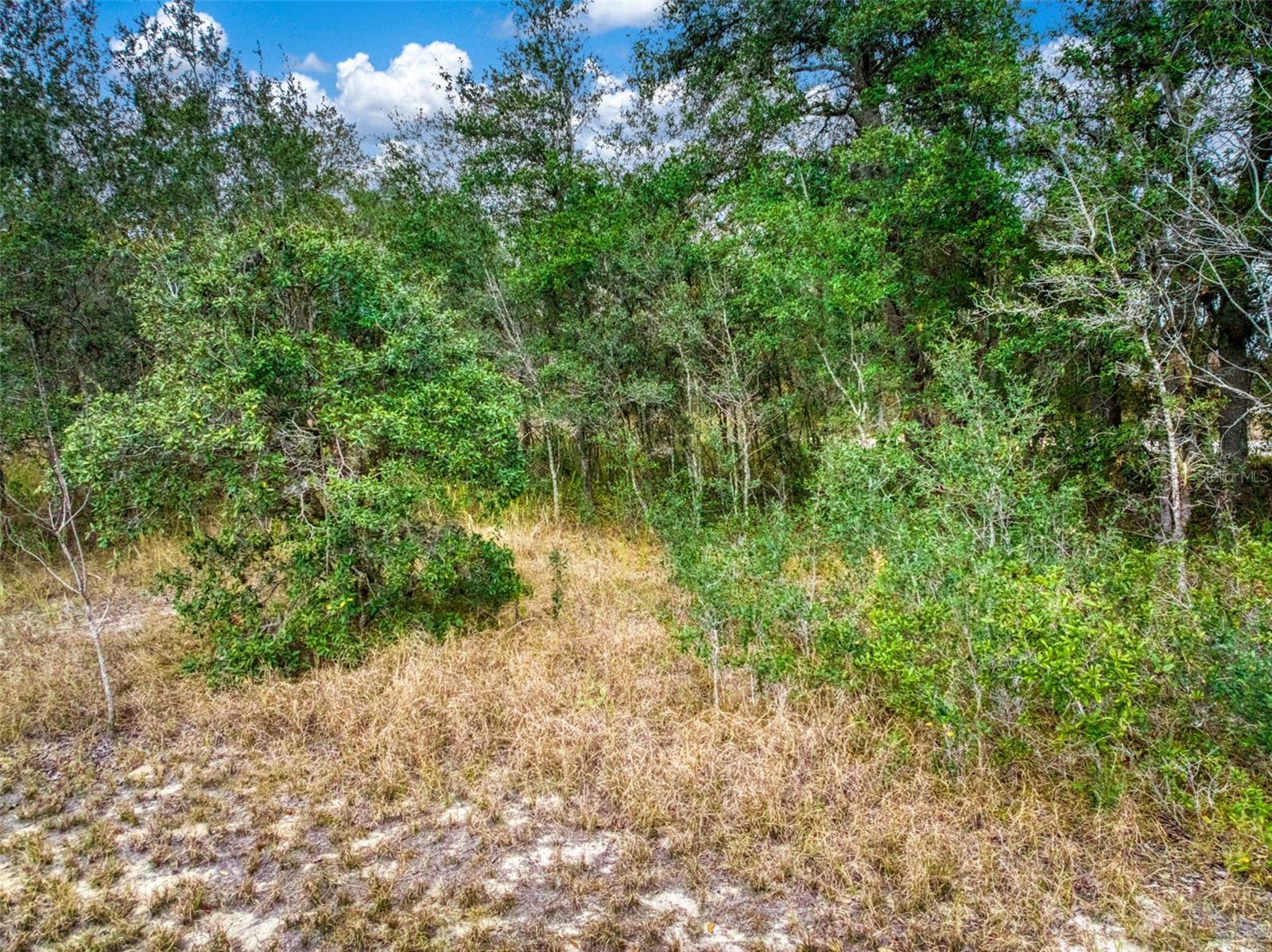 APL RED HILL FARMS ADD - Land