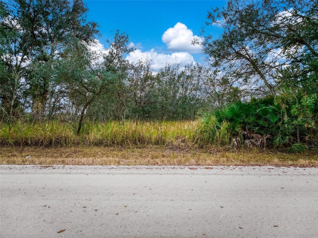 Photo of 2713 W Hasbrouck Road, Avon Park, FL 33825 (MLS # P4937866)