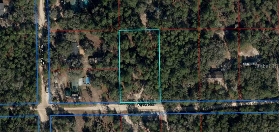 Nice vacant lot waiting for you to build your dream home! Sitting on a paved street, this is a prime location and easy commute to Schools, shops and the city of Gainesville.
No HOAs, giving you the freedom and flexibility with lower taxes in Levy County!
Buyer to do their own due diligence.