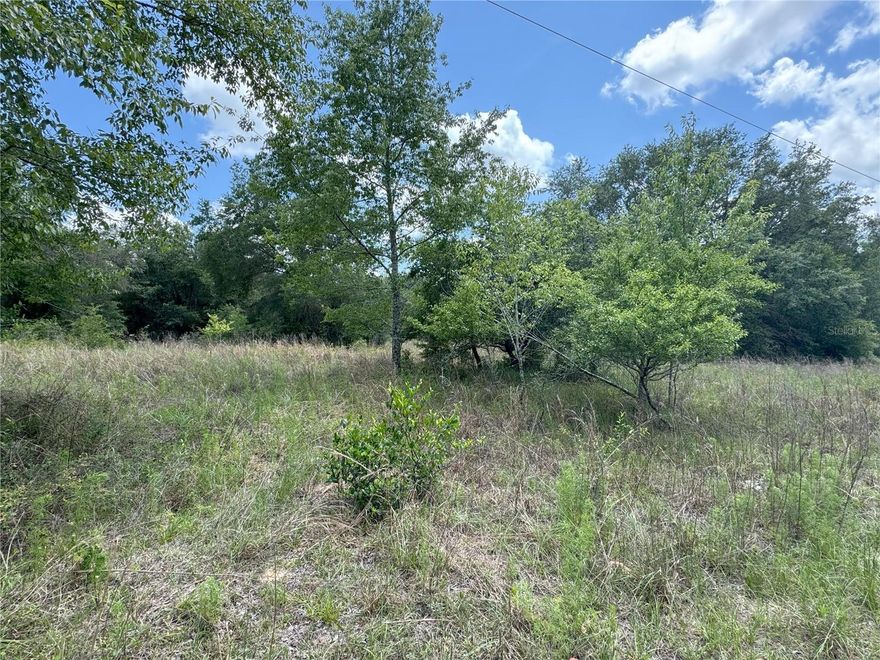 This is a great investment opportunity as Inverness continues to grow in population. This 0.23 acre lot offers affordability with time to plan for a new home to be built on. This is minutes away from downtown Inverness with all the local shops and restaurants. There is access to the Suncoast Parkway to the west on SR 44 for ease of travel south into the Greater Tampa area. There are no utilities on the property currently, so new ones will need to be installed.