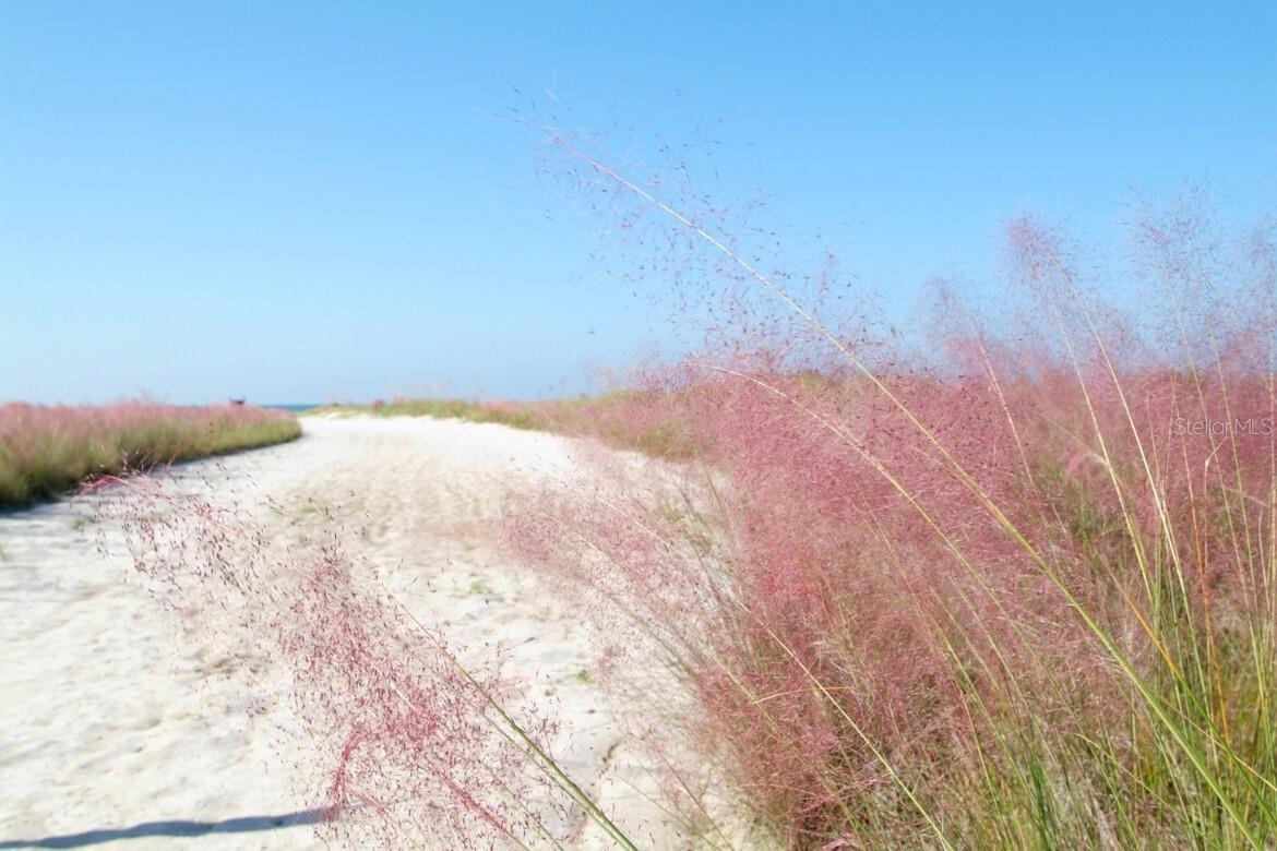 SARASOTA BEACH - Residential