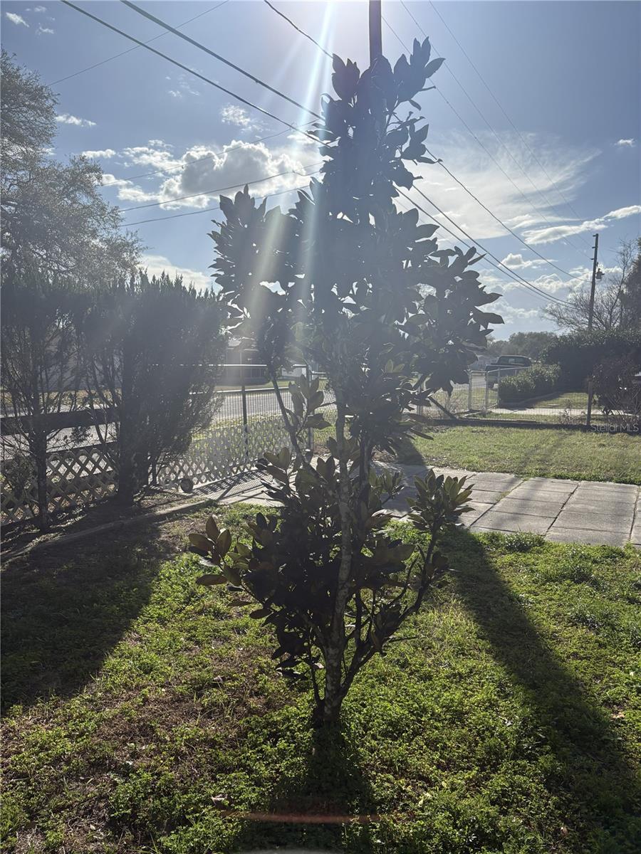 10385 SE 165TH PLACE