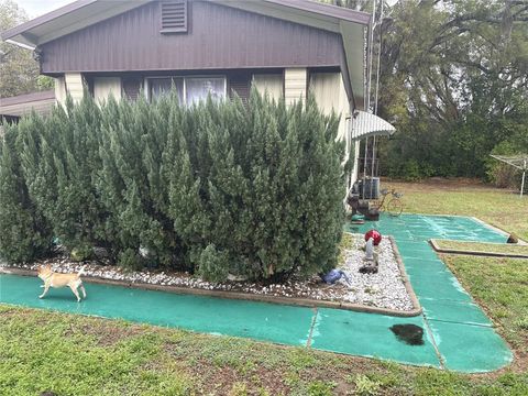 10385 SE 165TH PLACE SUMMERFIELD FL 34491