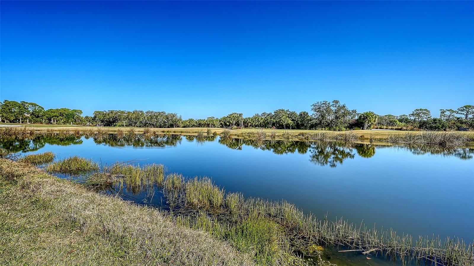 STONEYBROOK GOLF & COUNTRY CLUB - Residential