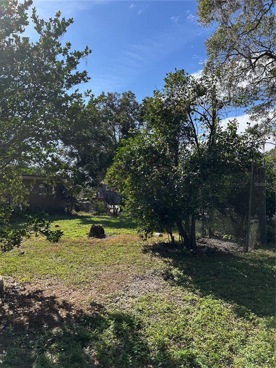 BIG TREE CAMPSITES SEC D - Residential