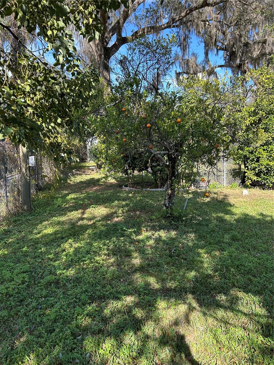 BIG TREE CAMPSITES SEC D - Residential