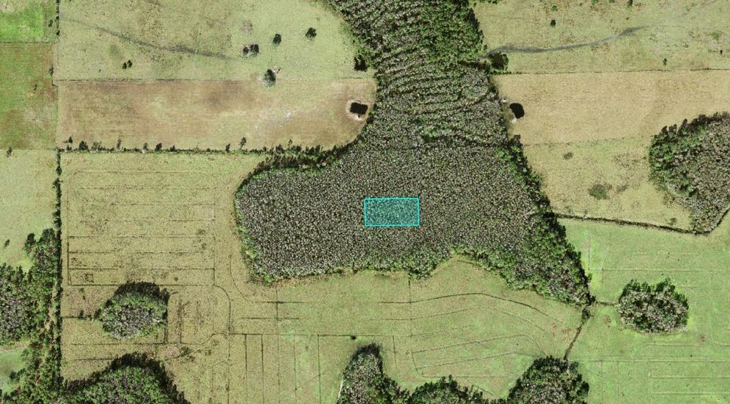 Photo of No Street, Polk City, FL 33868 (MLS # O6415877)