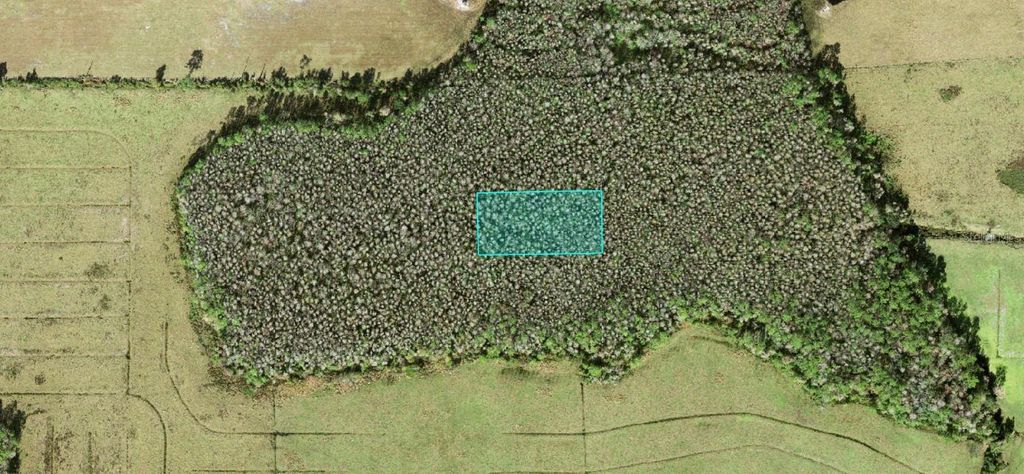 Photo of No Street, Polk City, FL 33868 (MLS # O6415877)