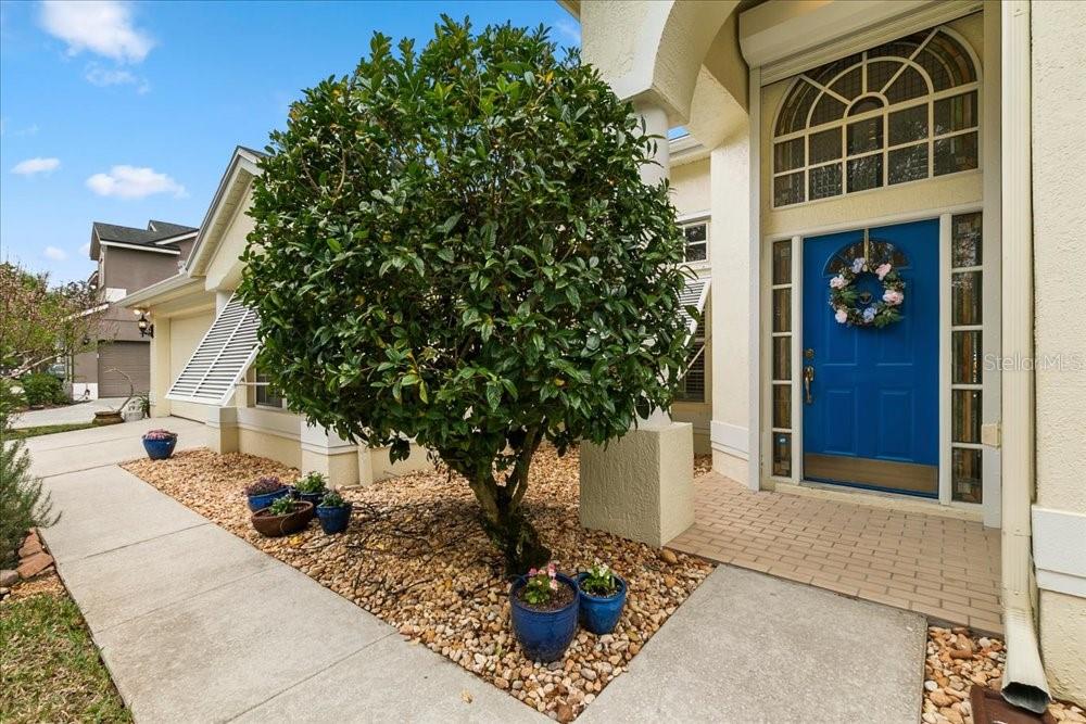 KINGSBRIDGE WEST - Residential