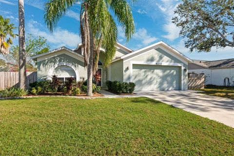 A home in RIVERVIEW