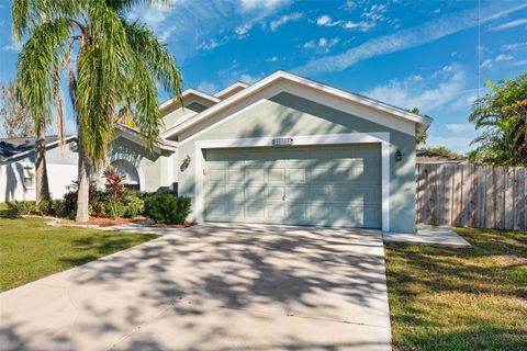 A home in RIVERVIEW