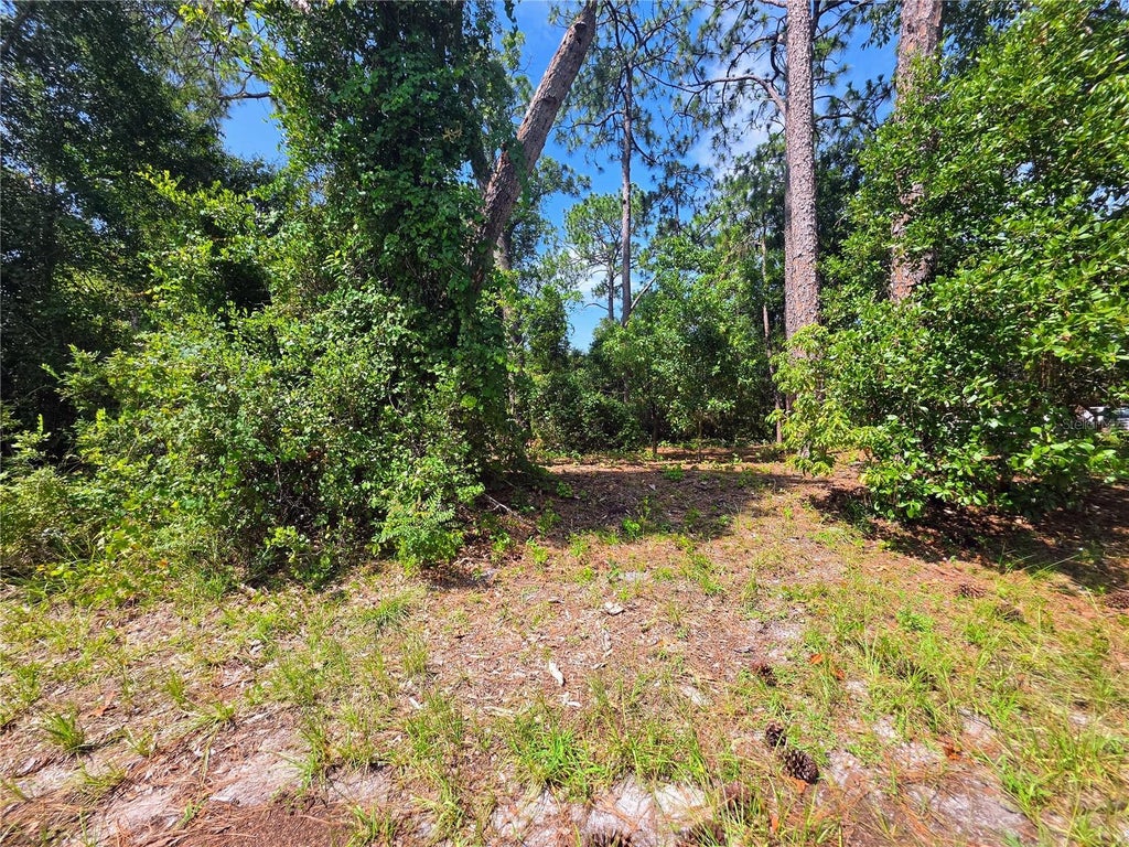 Photo of 1255 Myra Court, Deltona, FL 32738 (MLS # V4950350)