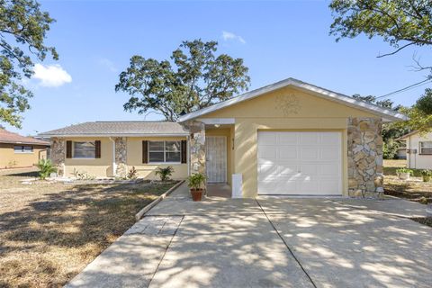 A home in SPRING HILL