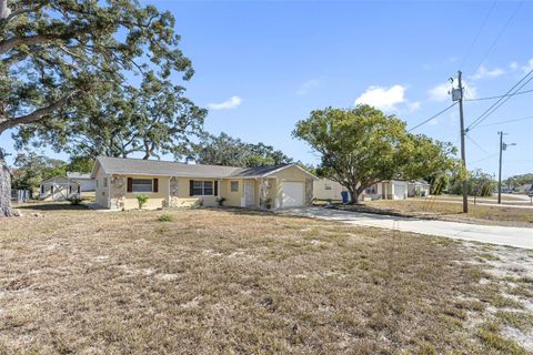 A home in SPRING HILL