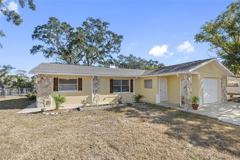 A home in SPRING HILL