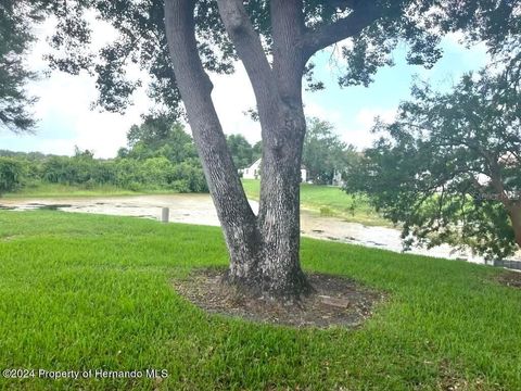 A home in WEEKI WACHEE