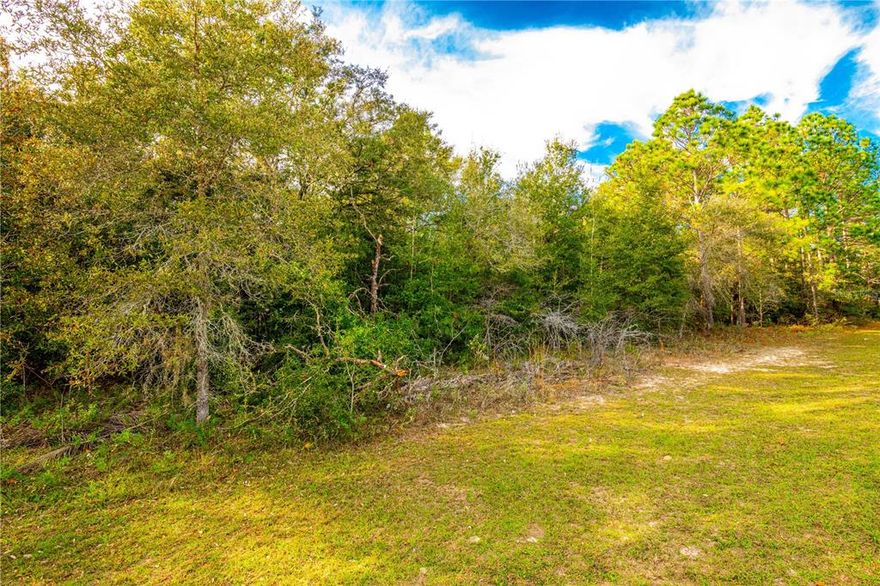 Come and build your next home on this beautiful lot. Located in the wonderful Citrus Springs Citrus County. This location is perfect!!