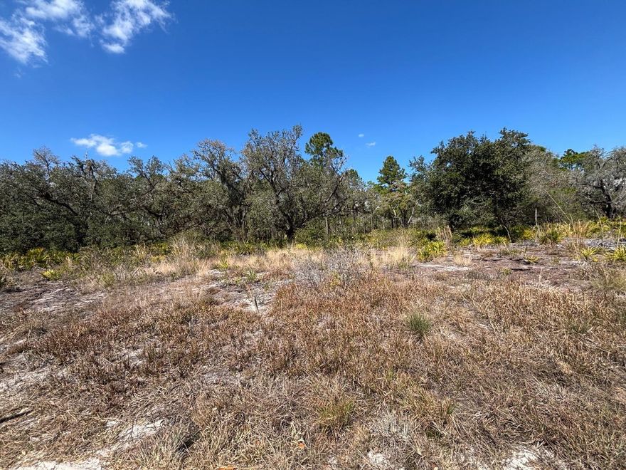 Vacant residential lot located approximately 20 miles east of Lake Wales near US 27 and US 60. The community offers access to a beach area, boat ramp, marina, and freshwater fishing pier. Additional amenities include an 18-hole golf course, basketball and tennis courts, clubhouse, café, post office, churches, library, fitness center, and pro shop. Buyer to verify lot dimensions, zoning, utility availability, and building requirements.