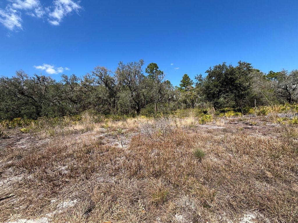 Photo of 1006 Palm Avenue, Indian Lake Estates, FL 33855 (MLS # S5144906)