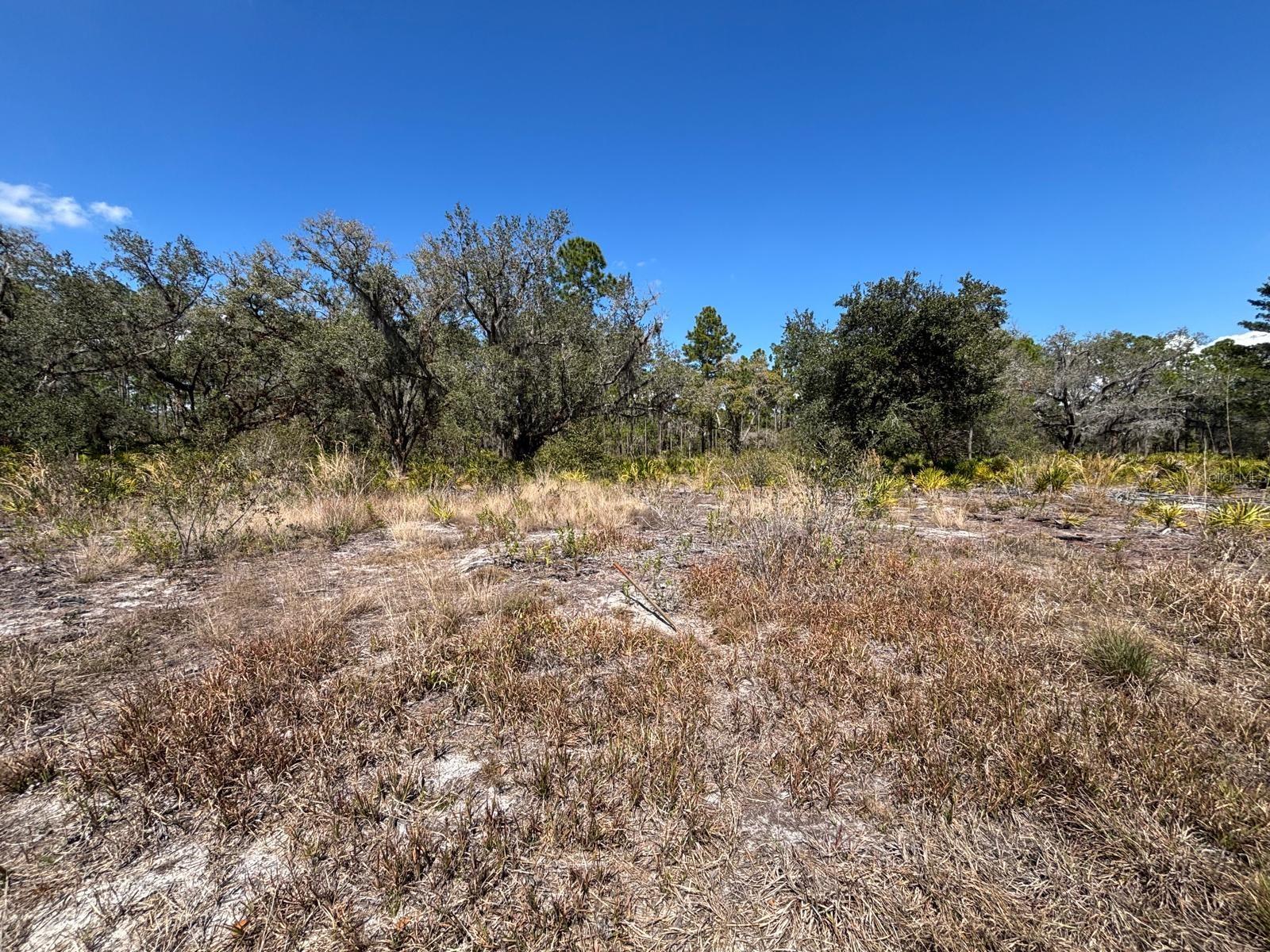 INDIAN LAKE ESTATES - Land