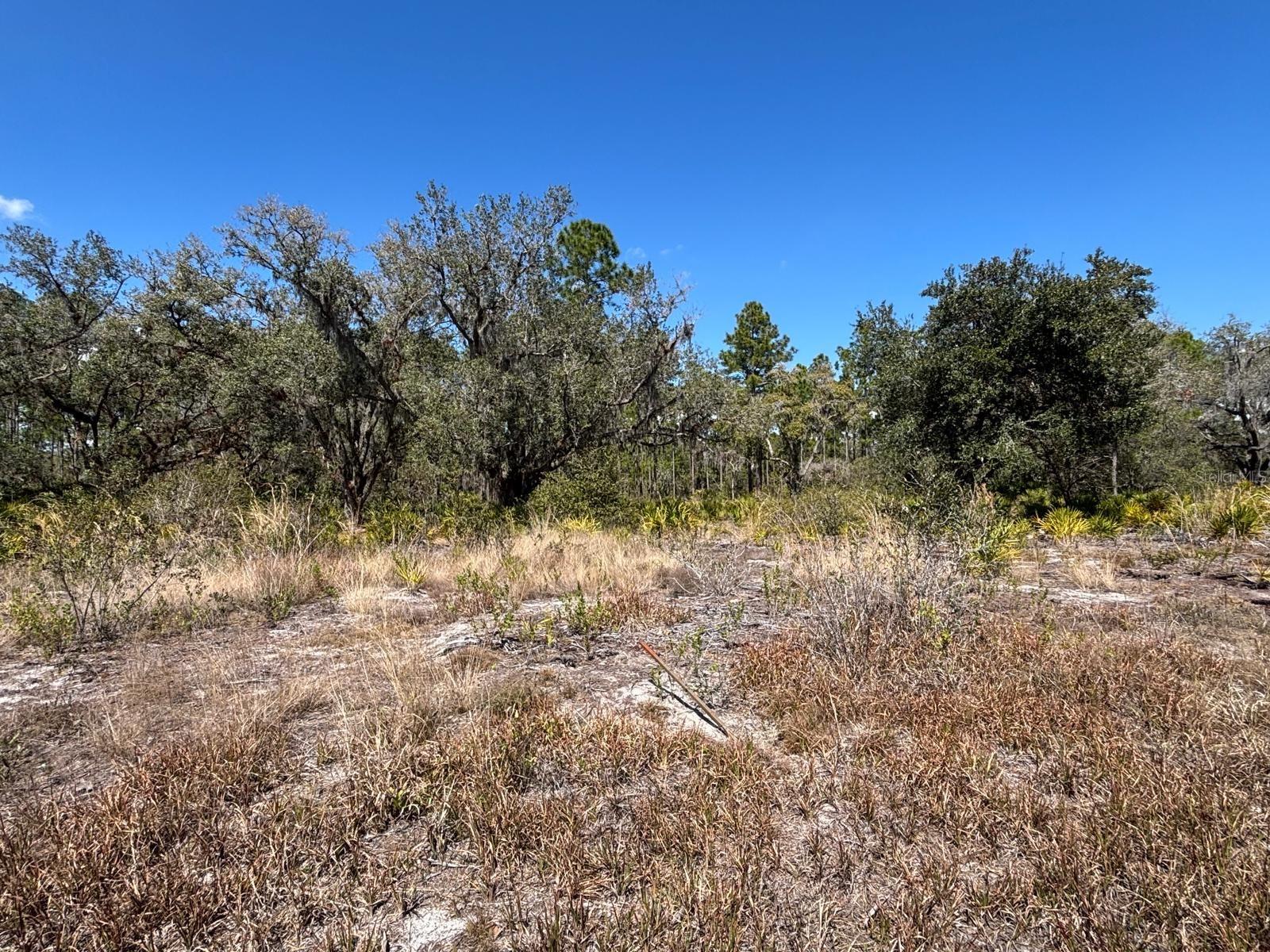 INDIAN LAKE ESTATES - Land