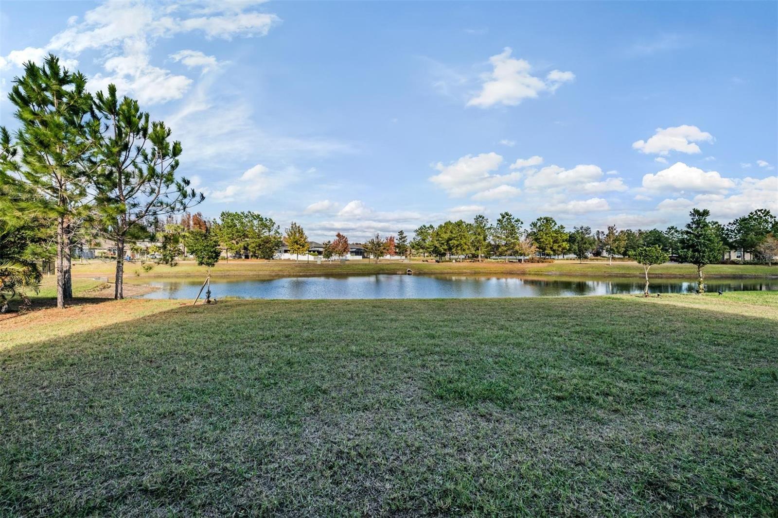 LAKESHORE RANCH PH I - Residential