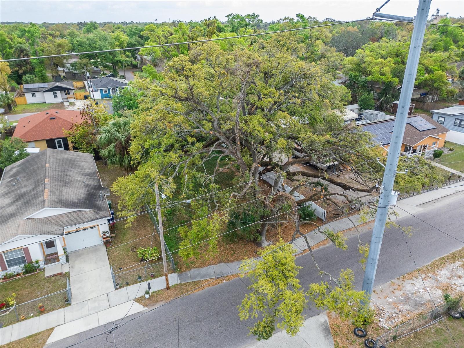 HOLLOMANS J J - Land