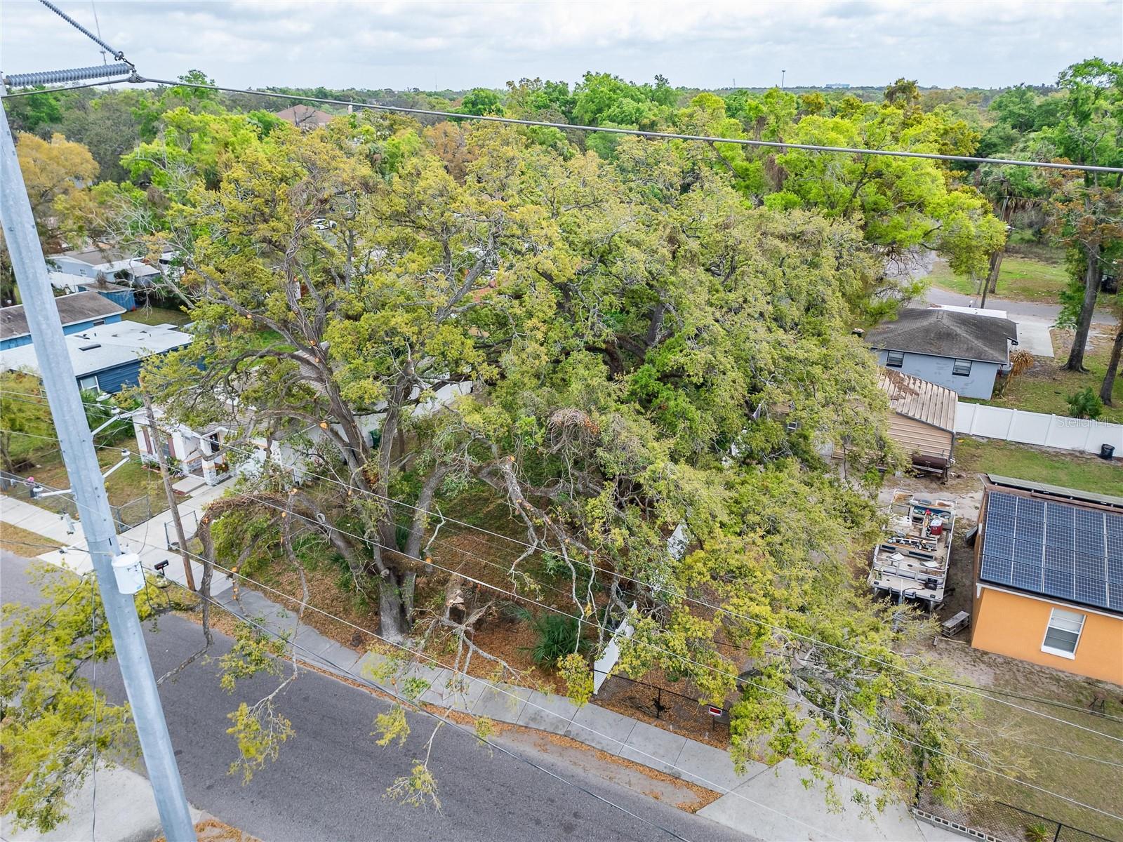 HOLLOMANS J J - Land