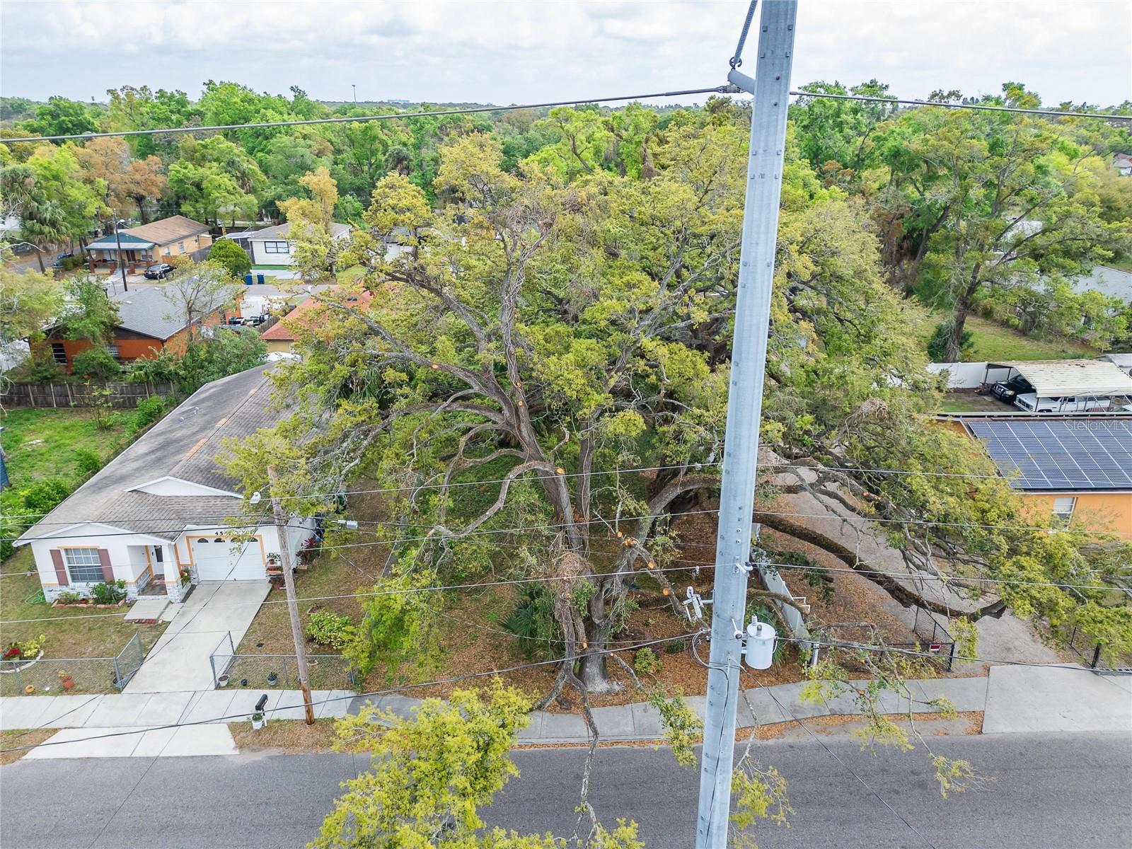 HOLLOMANS J J - Land