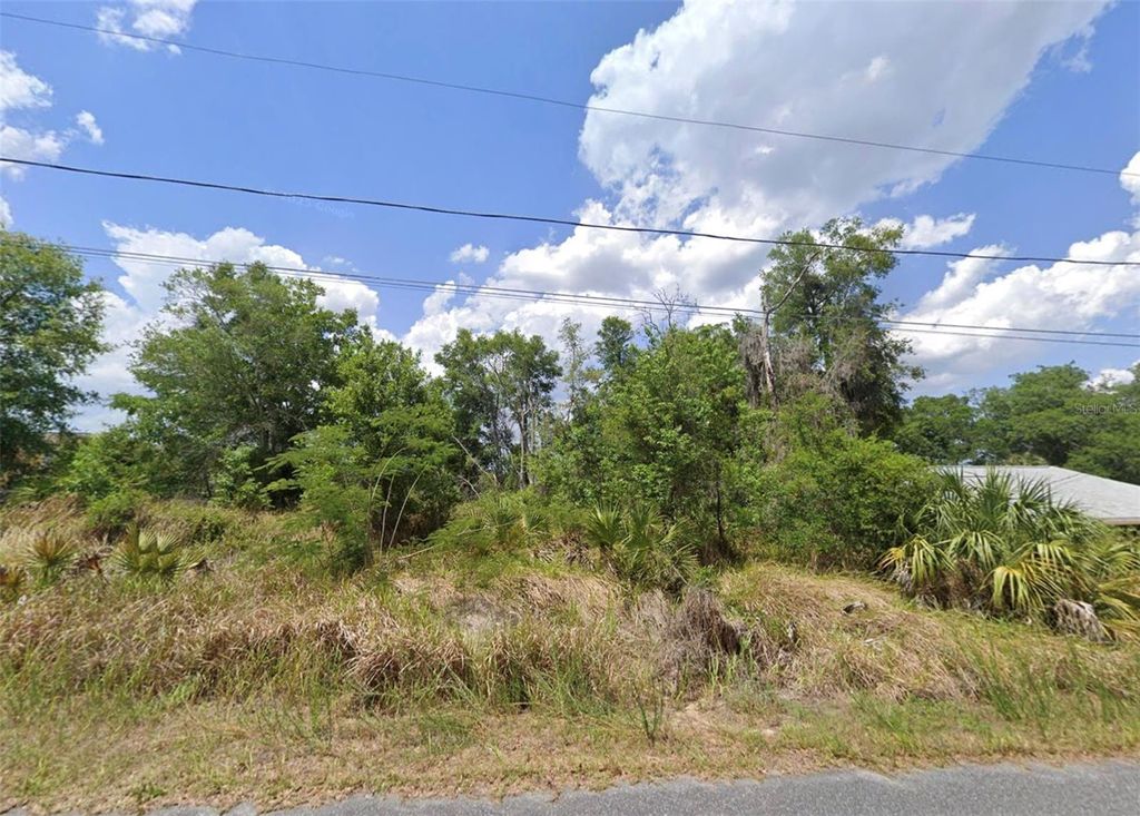 Photo of Juniper Track, Ocala, FL 34480 (MLS # O6379568)