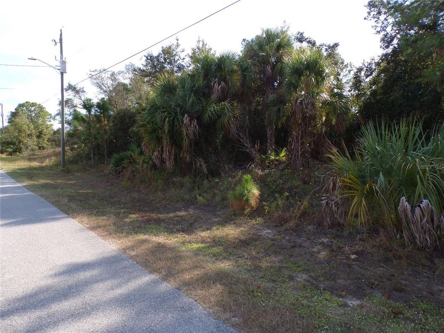 This lot is in the highly desired Flood Zone X, this is a quiet street, that would be a great place to build your dream home and retire or raise your family. Less than 7 miles to I75 makes this location an easy commute to almost anywhere, and only 22 miles to Chadwick Park and Beach with amazing sunsets, 8 miles to Cocoplum Village Shops with lots of shopping and dining options. Atlanta Braves spring training and the fairgrounds are just minutes away, also multiple golf courses and some of the best boating and fishing in all of Florida. Red Soxs, Orioles, Twins and Rays spring training all within an hour’s drive. Buyer and buyers’ reps are responsible for determining environmental conditions and endangered species restrictions. This lot is priced to sell so please call for availability! This lot is at a great price point for the investor call today.