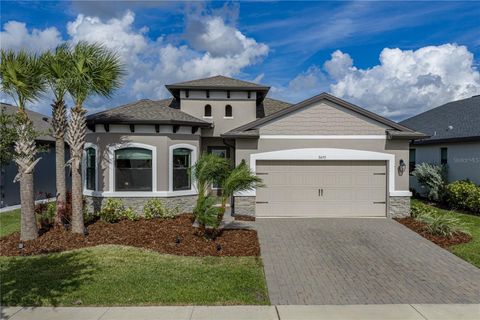 34155 EVERGREEN HILL COURT WESLEY CHAPEL FL 33545