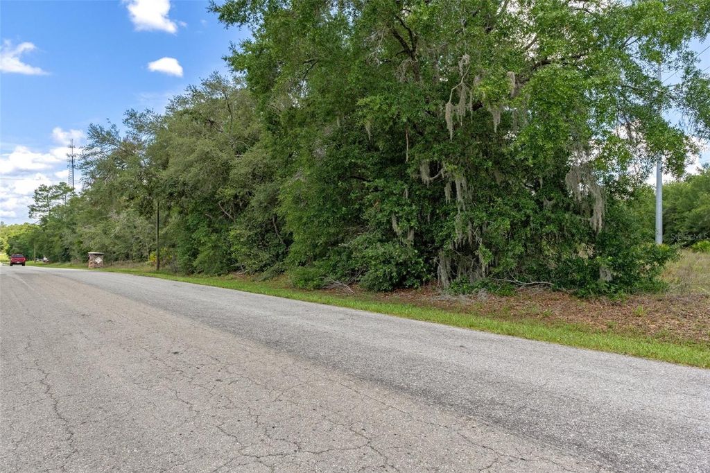 Photo of 701 E Overdrive Lot 16 Circle, Hernando, FL 34442 (MLS # OM715403)