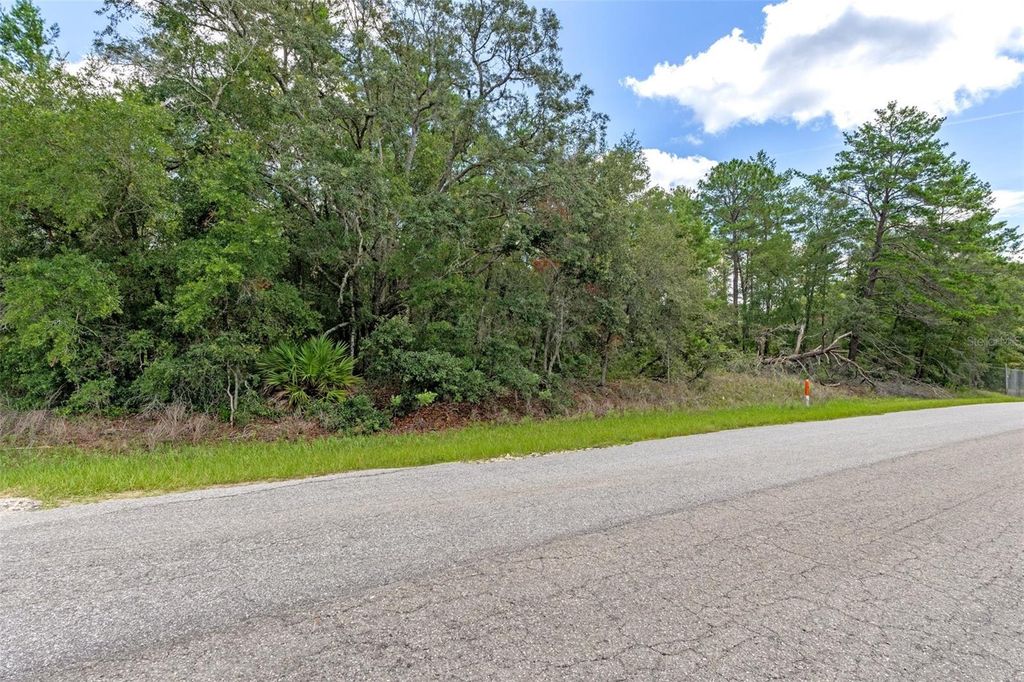Photo of 701 E Overdrive Lot 16 Circle, Hernando, FL 34442 (MLS # OM715403)