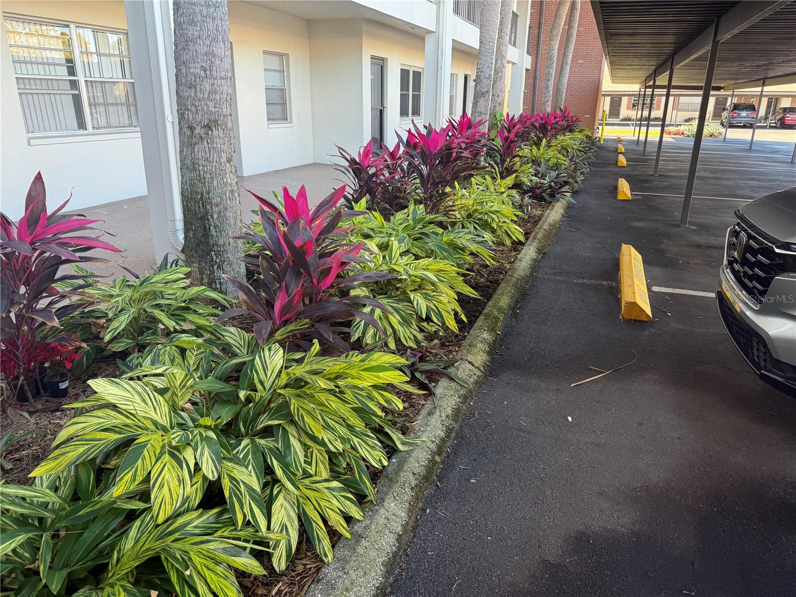 VILLAS AT COUNTRYSIDE THE - Residential