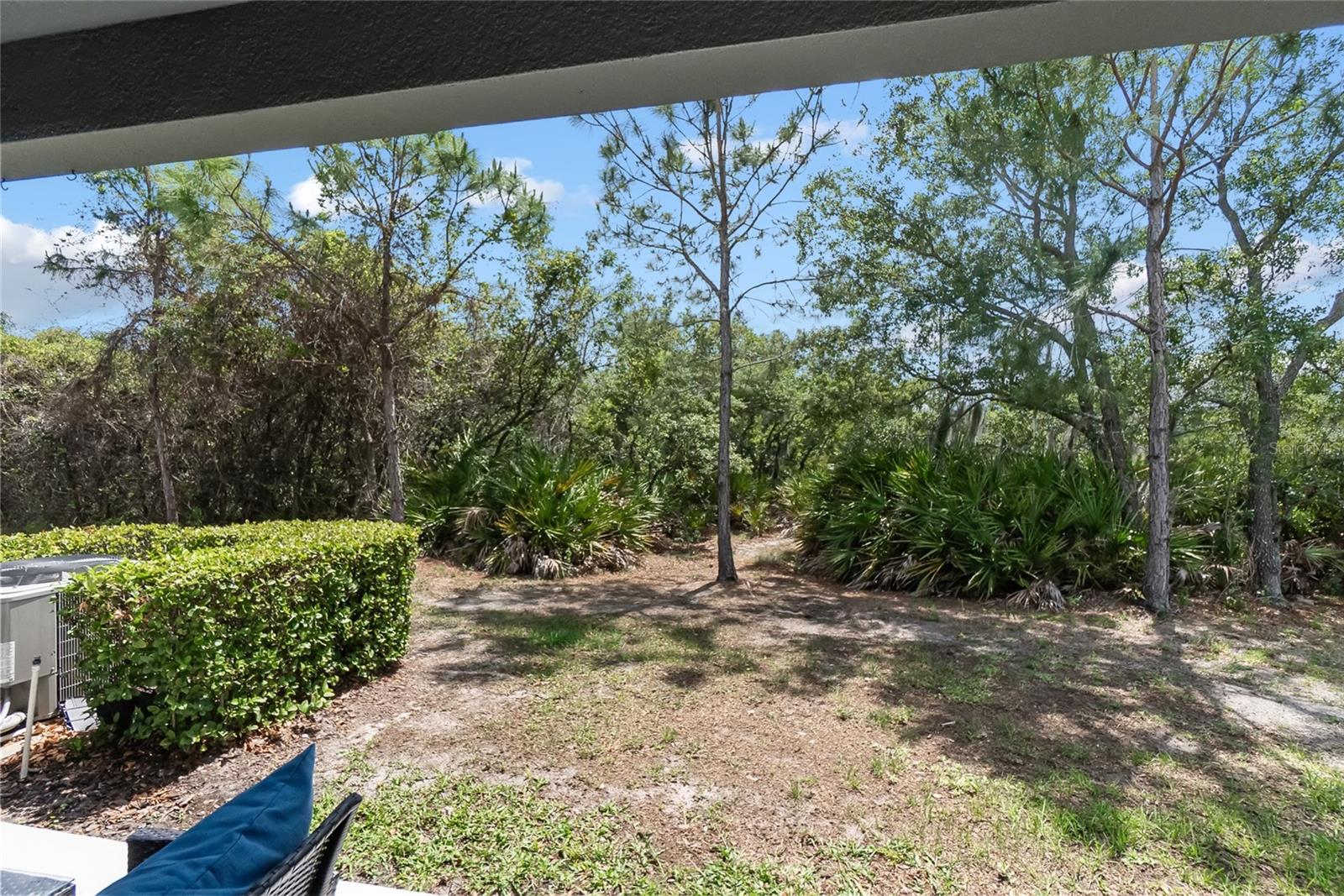 EAGLE PALM PH 4B - Residential