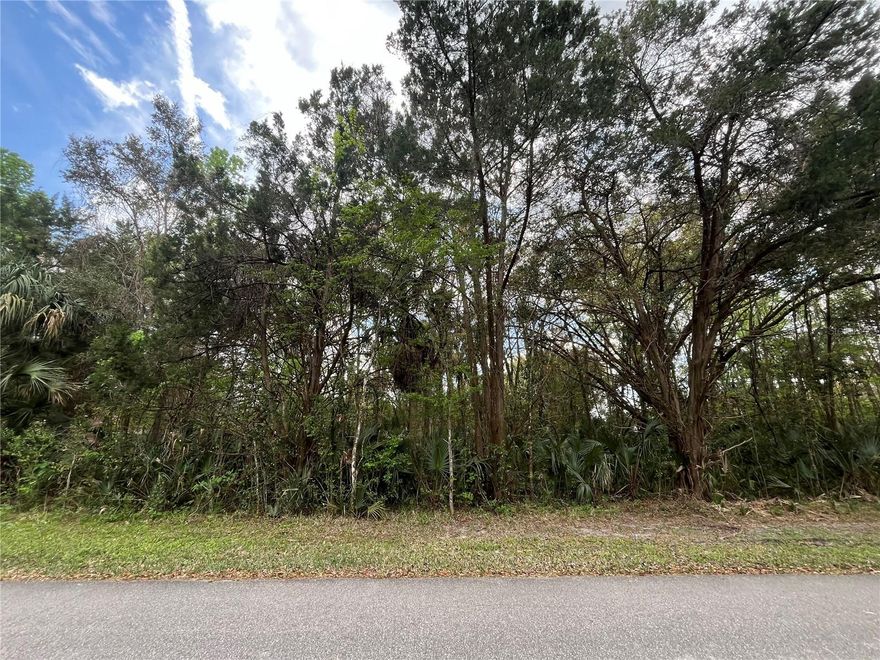 Don't miss out on this OVERSIZED 1.03-acre corner lot in the highly desirable neighborhood of Crystal River. This property is zoned R-3 Multi-Family Residential with city water available and electric on the street. Build your dream home or duplex. Convenient to shopping, fishing docks & public boat ramps, sure to please any adventurer or fishing enthusiast. Buy the best-priced lot in the area today! Great competitive price so be ready to make your offer quickly. This will fly out of inventory!