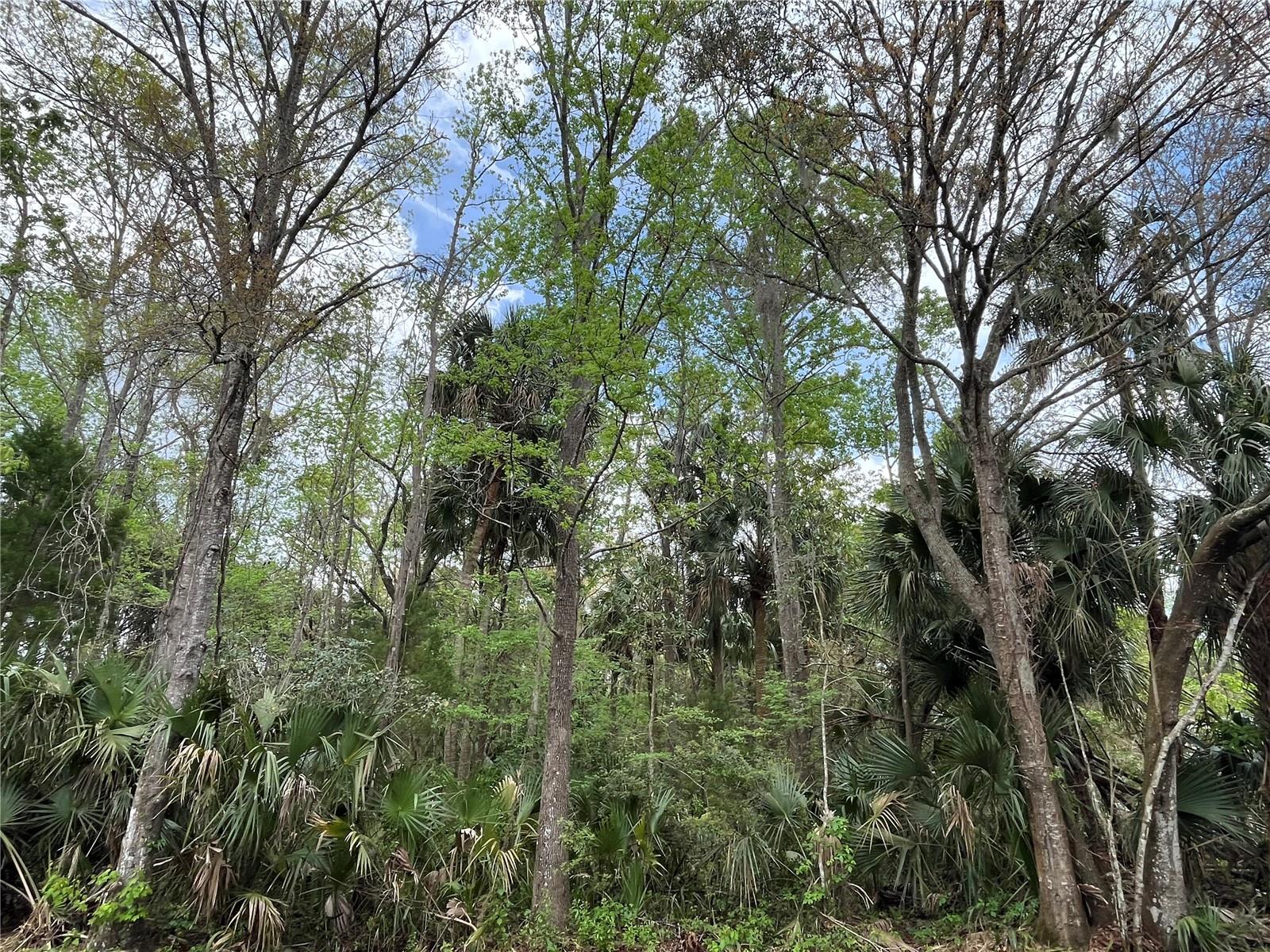 HYDE PARK ADD - Land