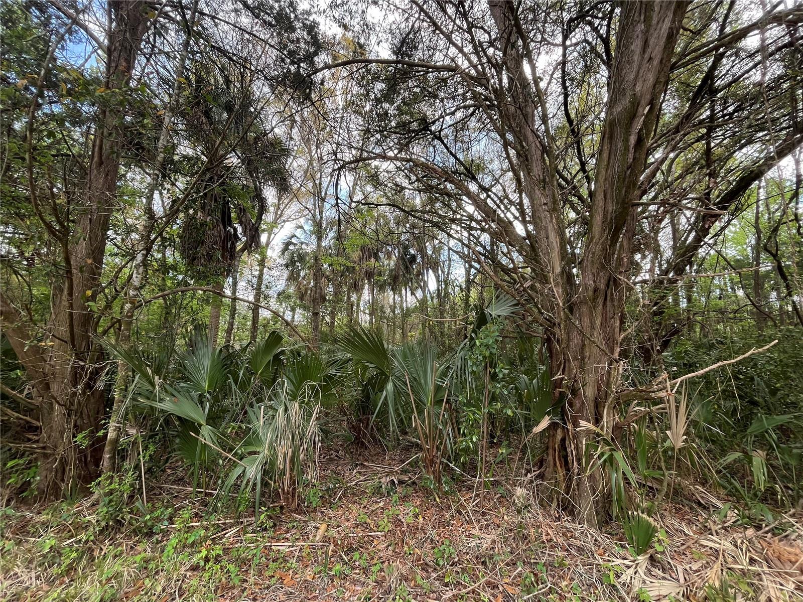 HYDE PARK ADD - Land